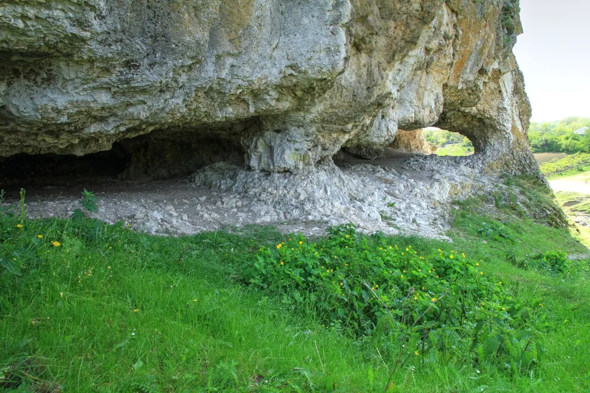 The entrance to the cave in the Butesti reef, with green grass in the foreground