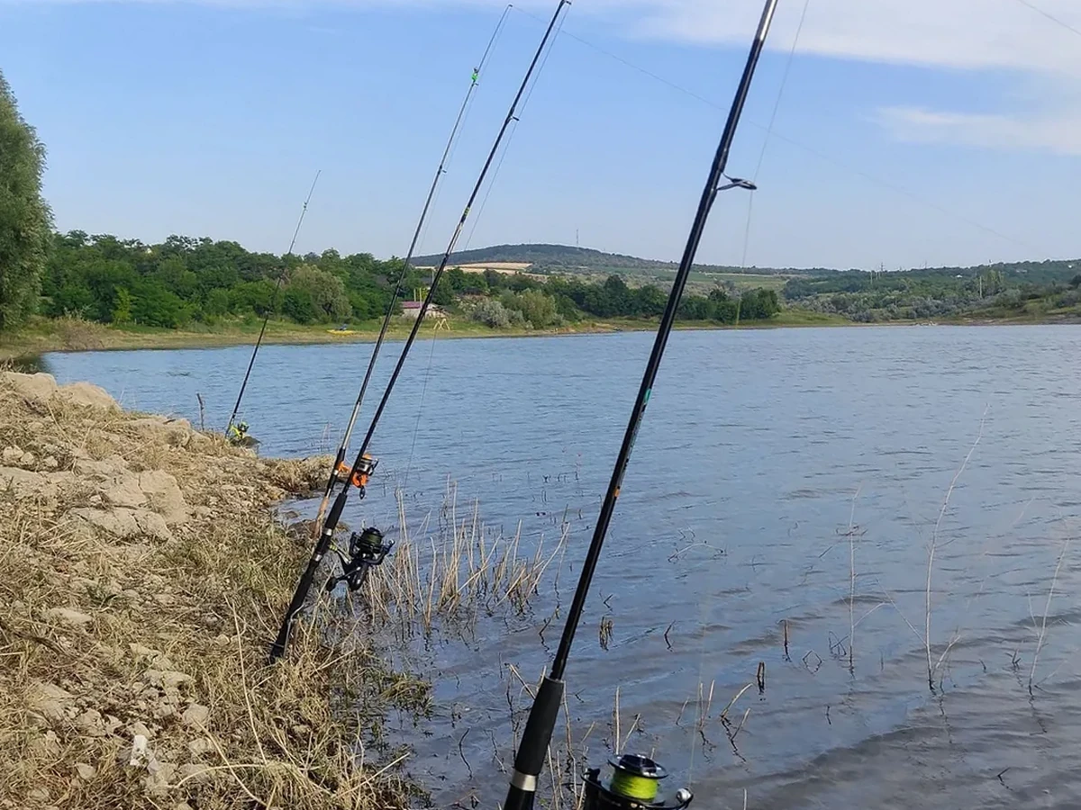 Pescuit pe lac